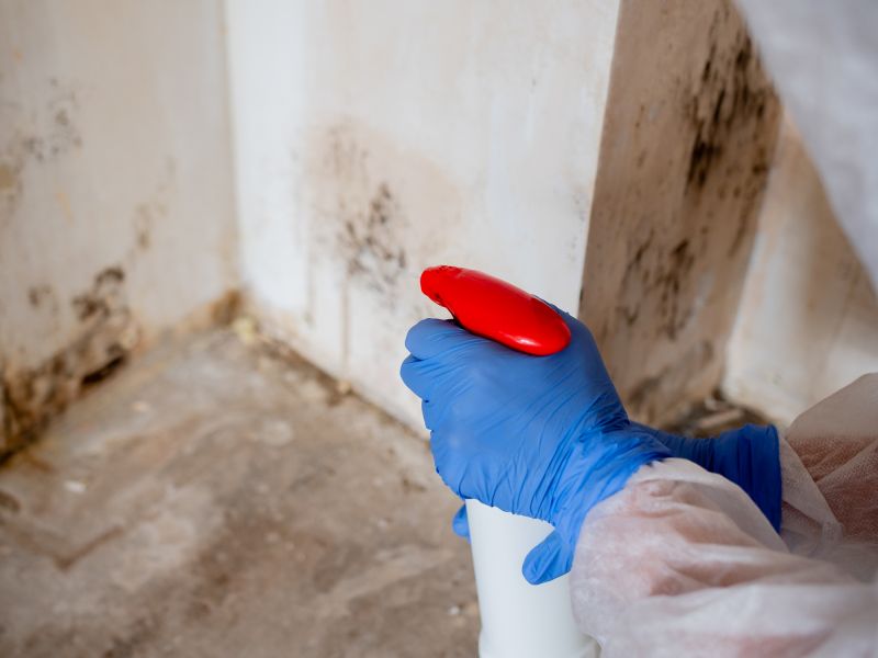 Basement Mold Remediation in Essex County, NJ