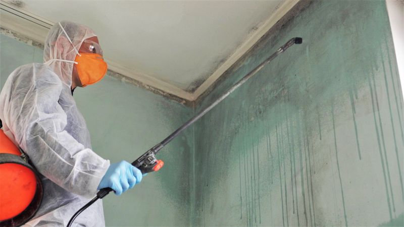 Air Duct Mold Removal in Frisco, TX