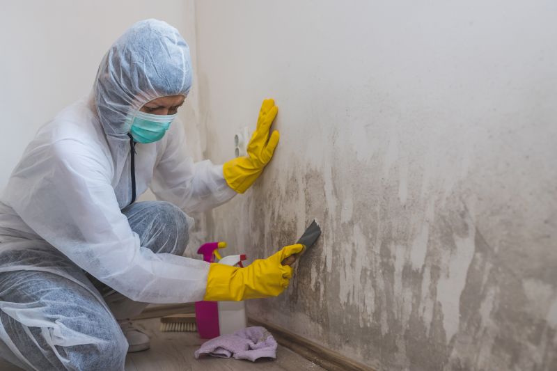 Basement Mold Remediation in Broward County, FL