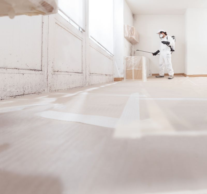 Basement Mold Remediation in Essex County, NJ