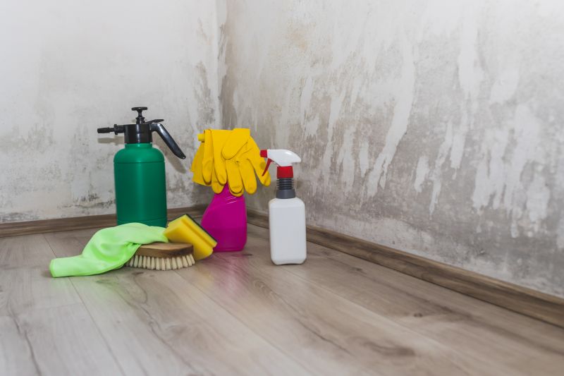 Basement Mold Remediation in Boca Raton, FL