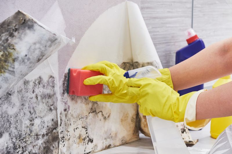Basement Mold Removal in Jupiter, FL