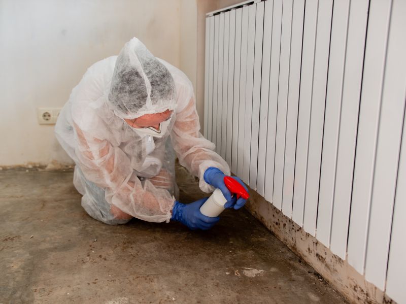 Basement Mold Removal in Fort Lauderdale, FL