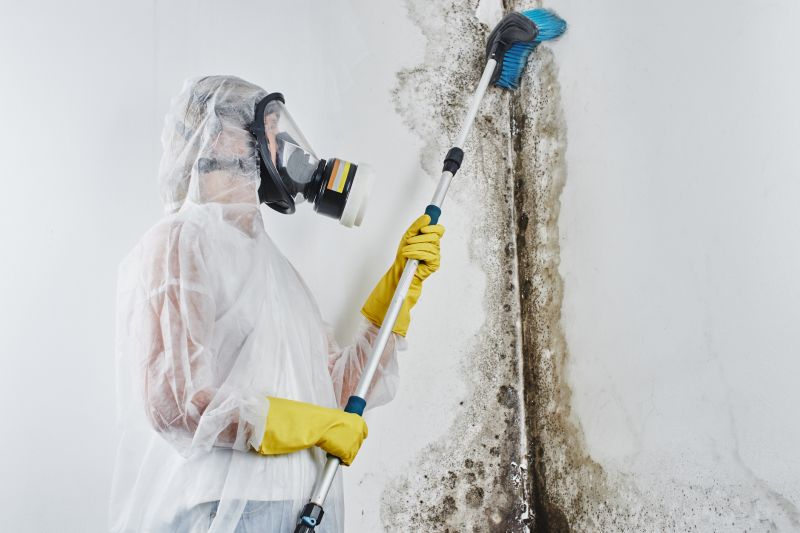 Black Mold Remediation in Fort Worth, TX