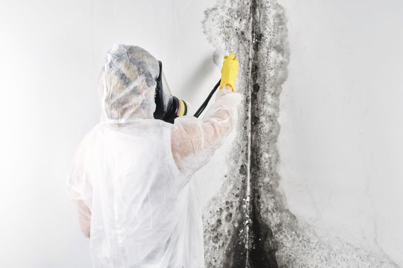 Black Mold Remediation in Essex County, NJ