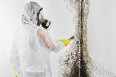 Black Mold Removal in Mckinney, TX
