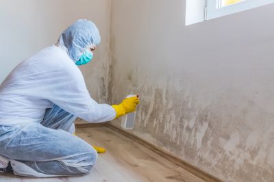 Garage Mold Remediation in Fort Lauderdale, FL