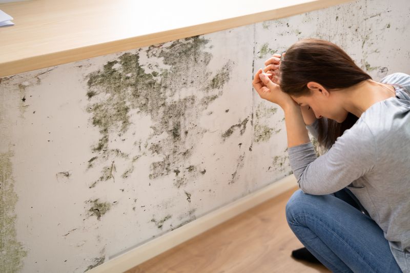 Mold Abatement in Mckinney, TX